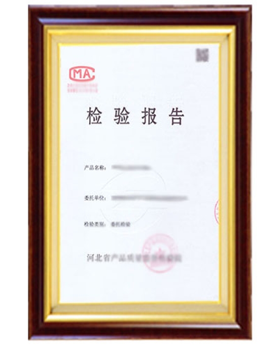 检测报告